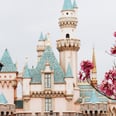 Is a Disneyland Pass Worth It? We Asked Pass Holders to Find Out