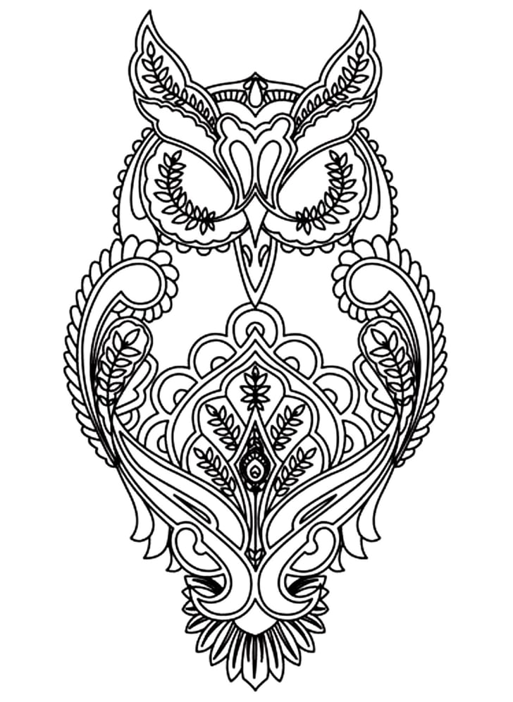 Get the coloring page: Owl | Free Printable Adult Coloring Pages