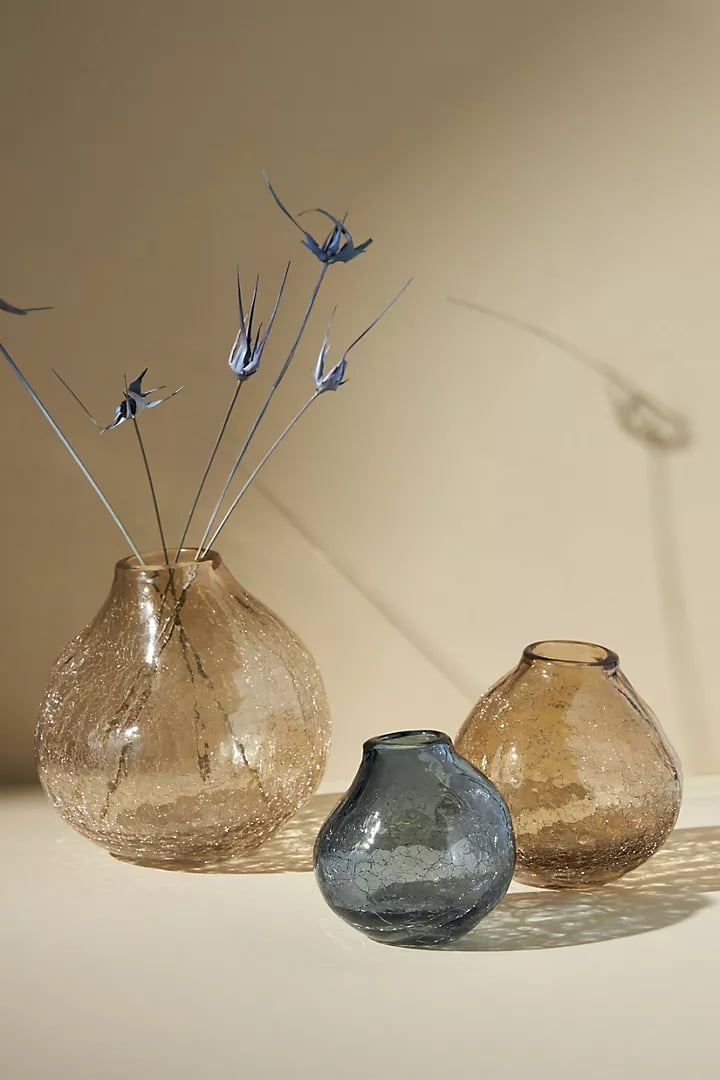 一个玻璃花瓶:Nova花瓶