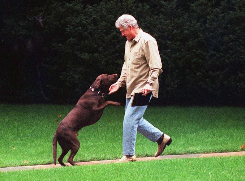 Bill Clinton and His Dog, Buddy