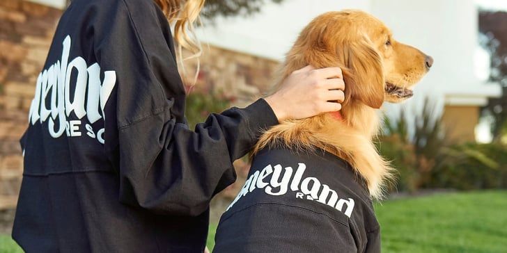 disney dogs spirit jersey for adults