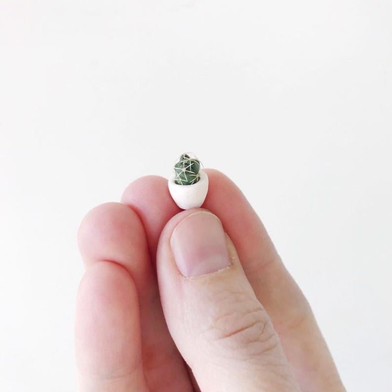 Micro Mini Cactus and Micro Mini Handmade Ceramic Planter