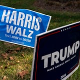How a Harris Girlfriend and Trump Boyfriend Handled the Aftermath of the Election