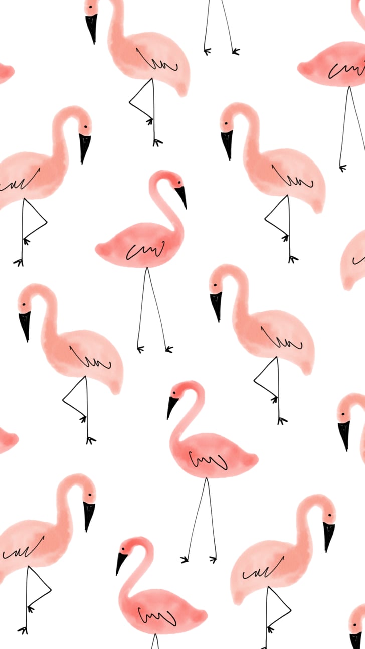 Flamingos iPhone 7 and 7 Plus Wallpapers POPSUGAR Tech Photo 7