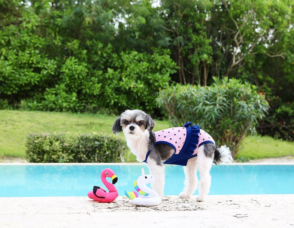 . . . and went for a swim with my floating flamingo and unicorn . . .