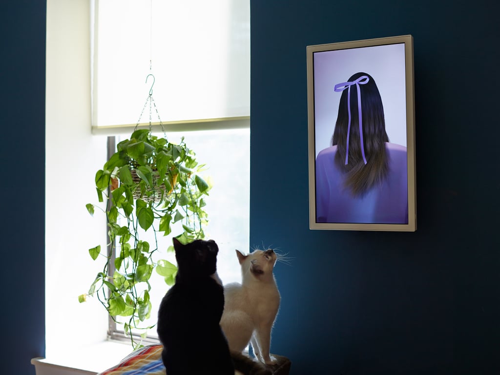 Computer Screen Only Displays Art