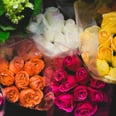 Red, Yellow, or Blue? Here's What Each Rose Color Means For Your Relationship