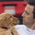 Milo Ventimiglia's Sweet New Film Looks Like the Next Marley & Me