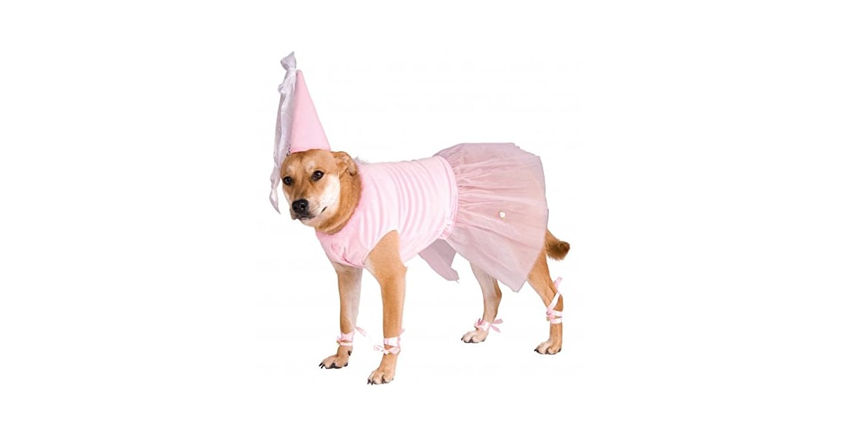 Princess Dog Costume Best Costumes For Dogs POPSUGAR Pets Photo 30