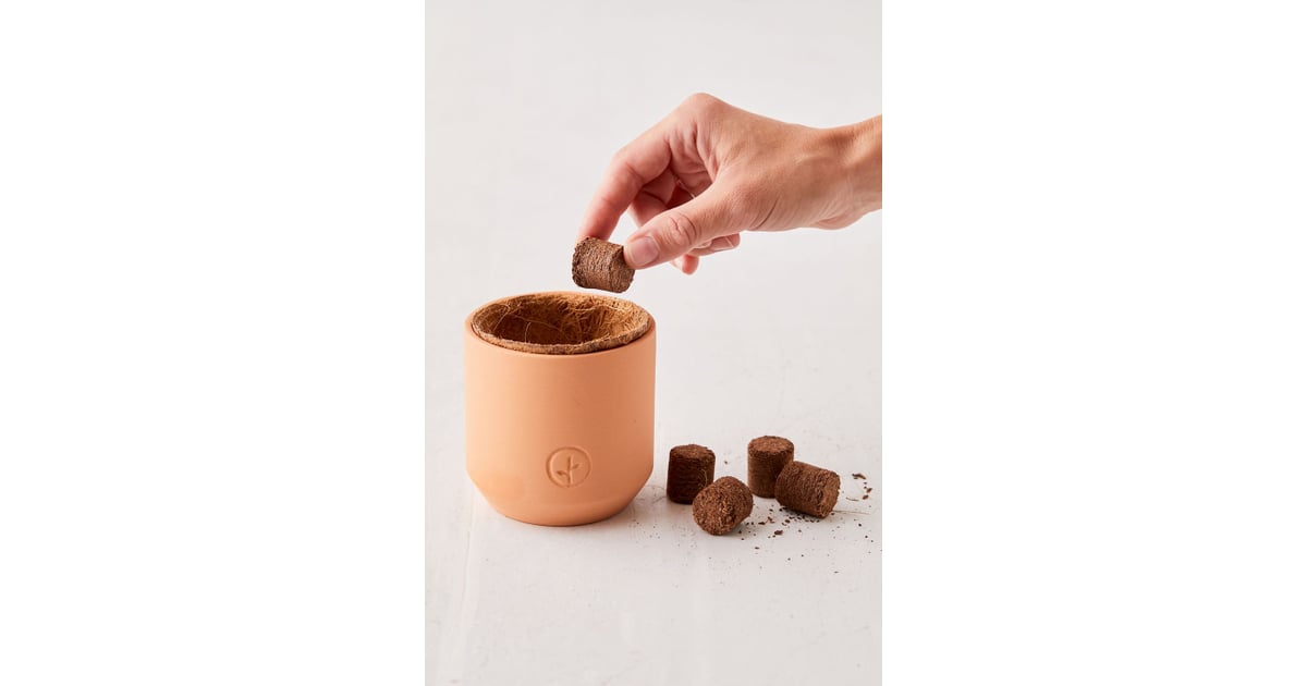 For the Gardener Modern Sprout Holiday Tiny Terracotta Grow Kit Best