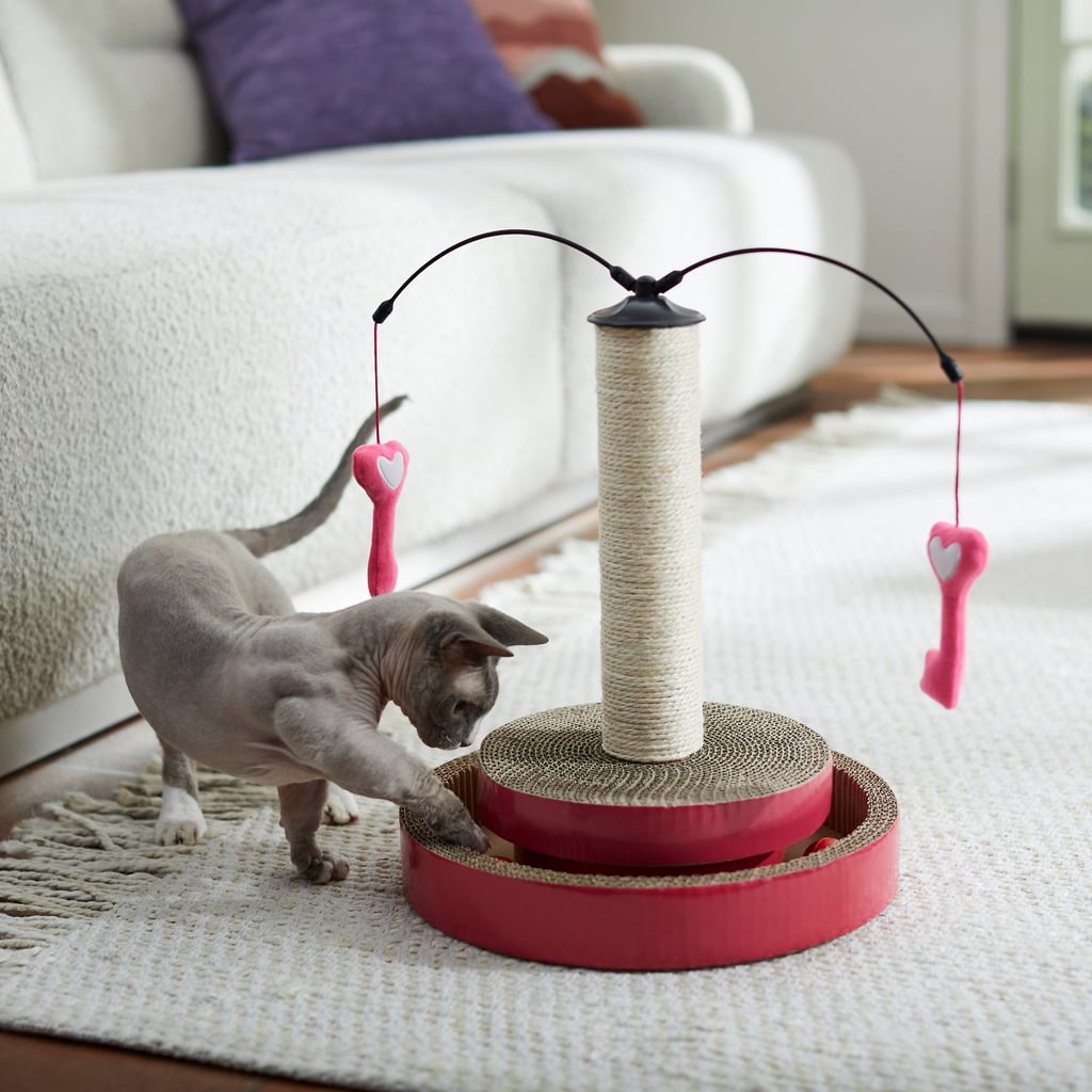 An Interactive Toy For Cats: Frisco Valentine Key to My Heart Interactive Scratching Cat Toy