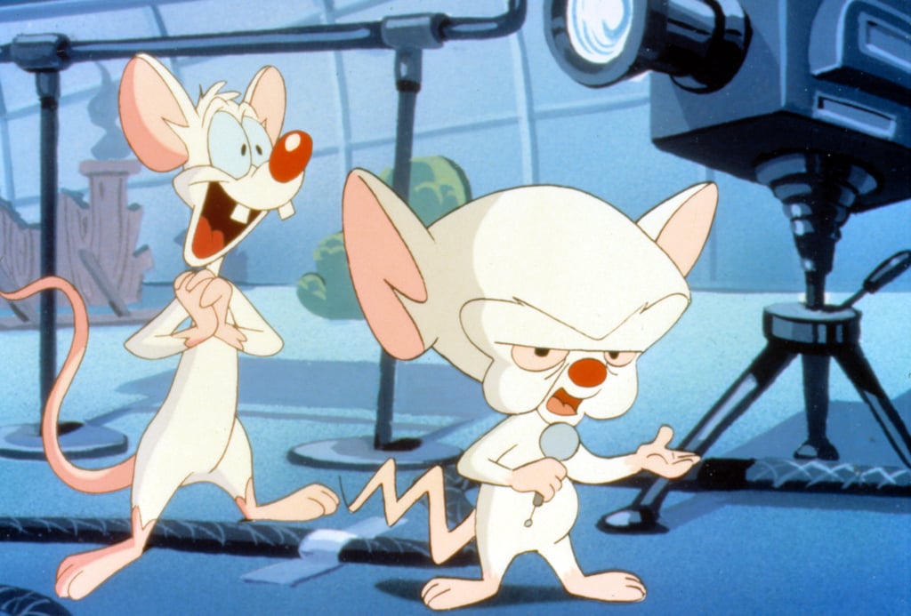 Pinky And The Brain 1995 1998 Best 90s Nickelodeon Tv Shows