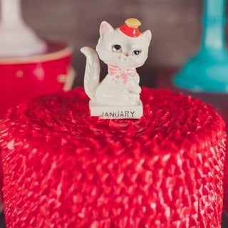 Vintage Kitty Cat Birthday Party Ideas