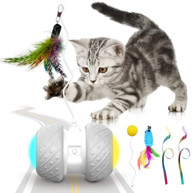 Kberho Cat Interactive Toy Best Toys to Keep Cats and Kittens