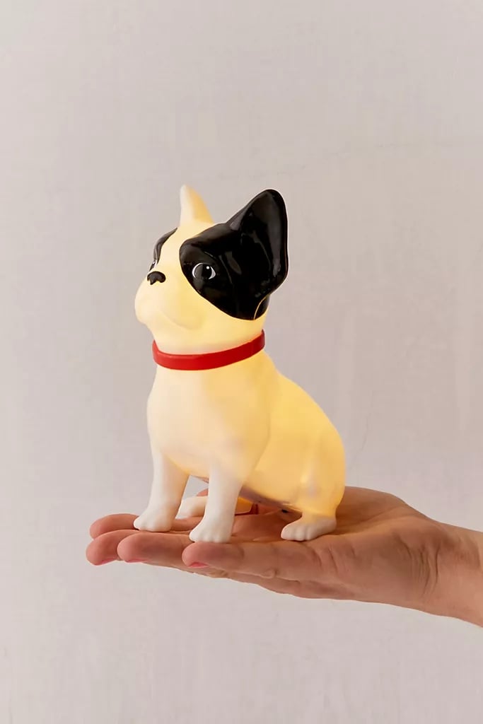 French Bulldog Light