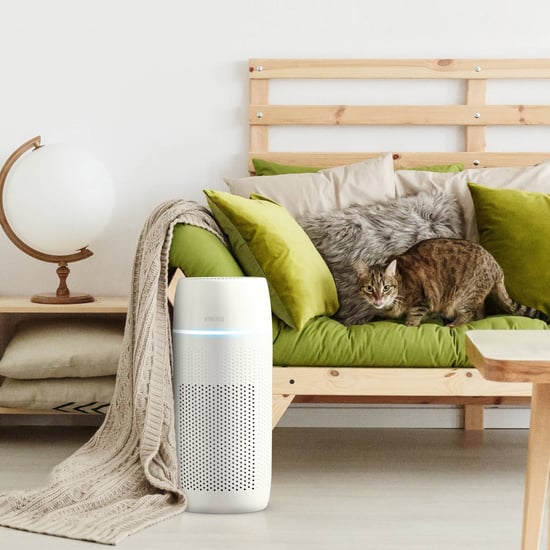 Top-Rated Air Purifiers at Target