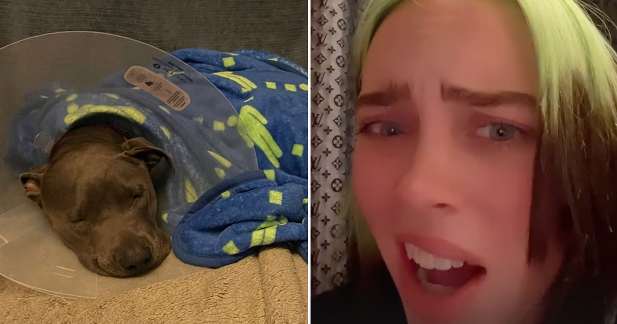 billie eilish sex toy How to Use Sex Toys Hands Free
