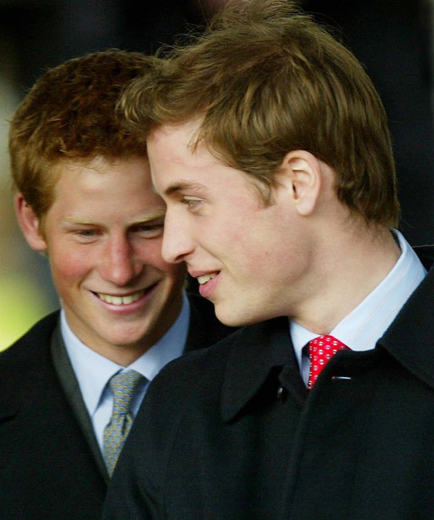 William and Harry shared a laugh together on Christmas Day in 2003.