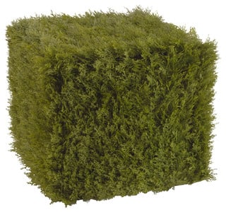 juniper covered box