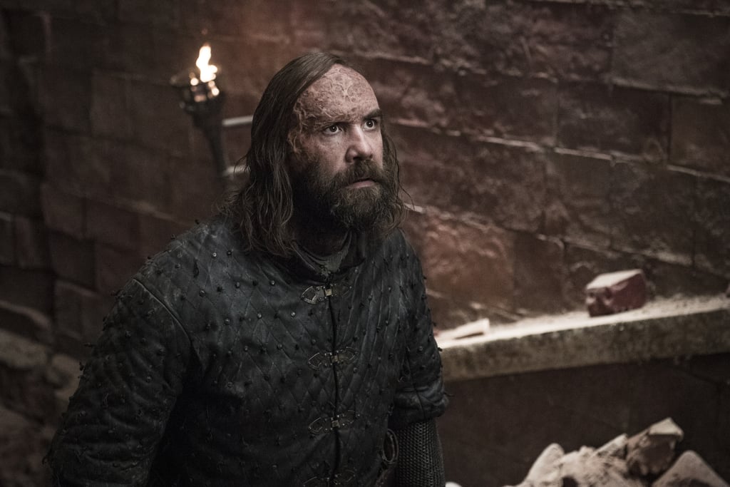 How Does The Hound Die In Game Of Thrones Season 8 Popsugar