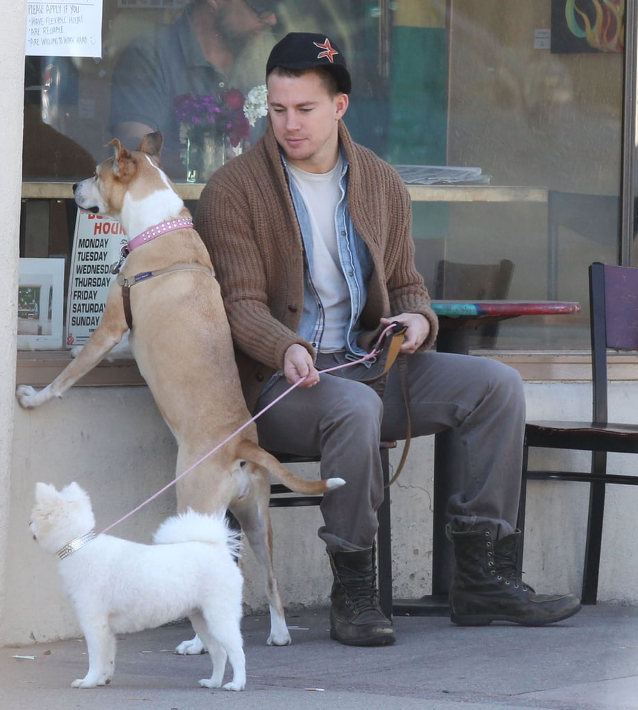 Channing Tatum's rescue pup, Lulu, and his wife Jenna Dewan's pretty pooch, Meeka, waited outside for her in Santa Barbara, CA, in February 2013.