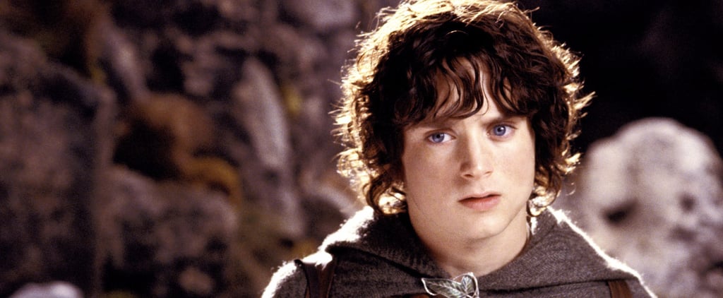 Lord of the Rings Scene About the Election