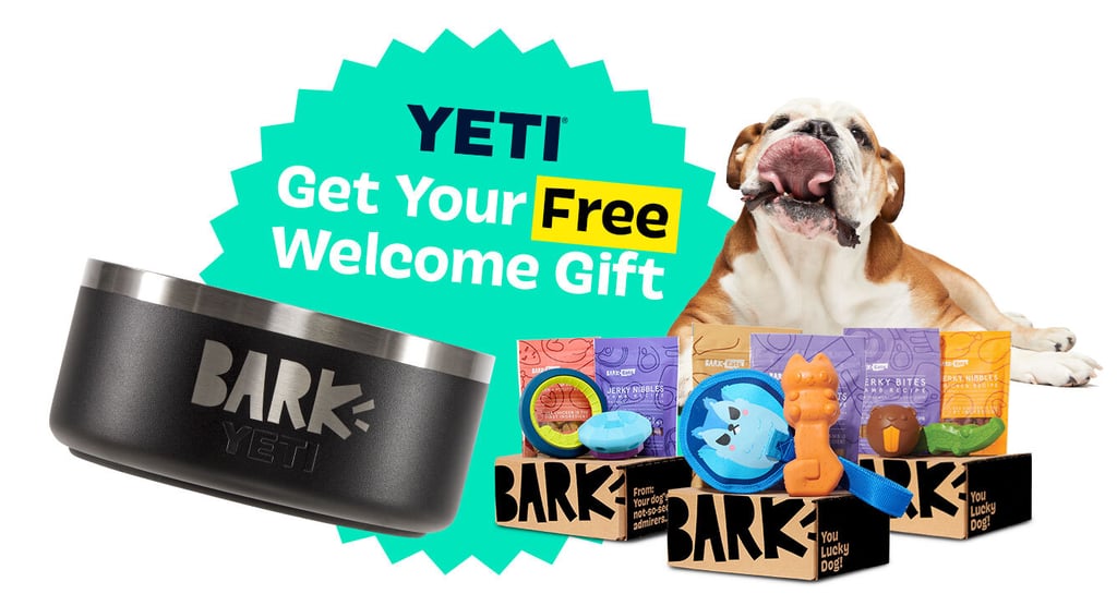 A Gift For Man's Best Friend