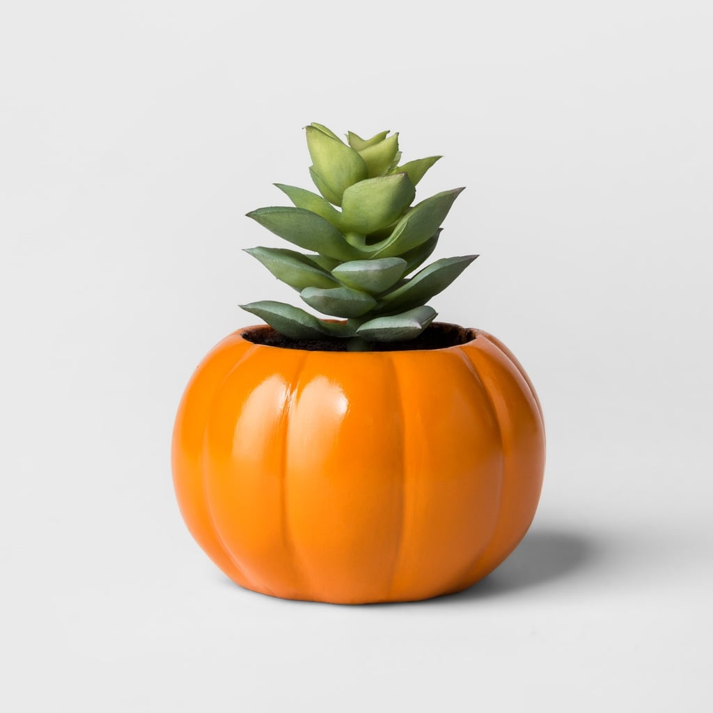 Hallow's Eve Orange Pumpkin Succulent