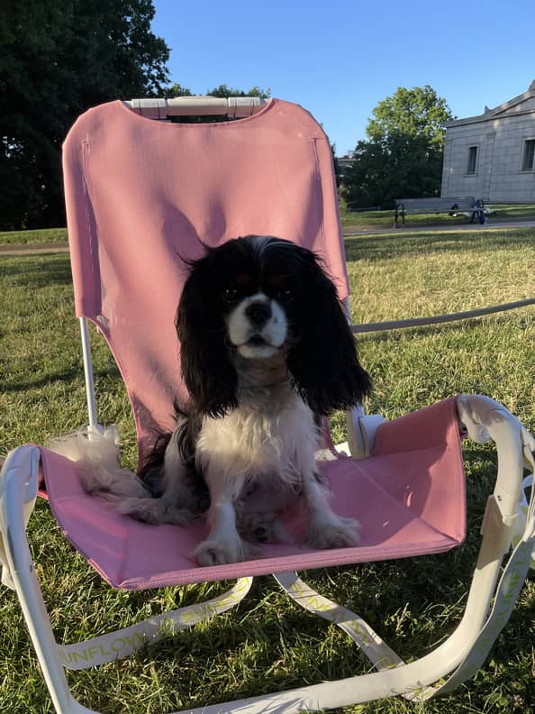 Sunflow beach chair review clearance