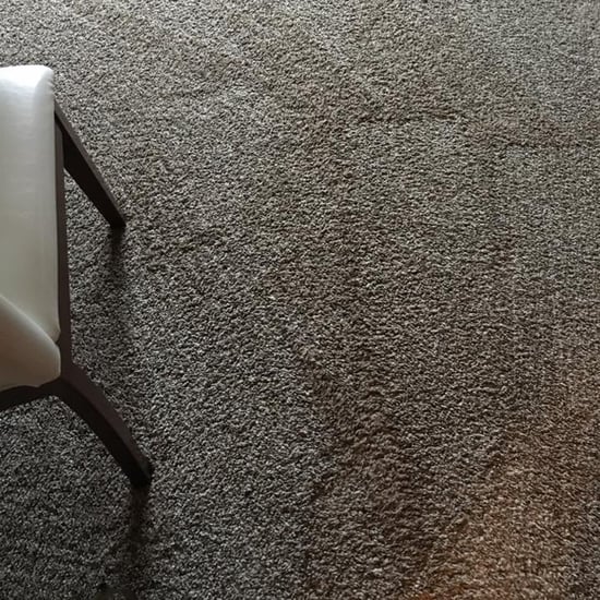 What a Mom Learned From Carpet Lines
