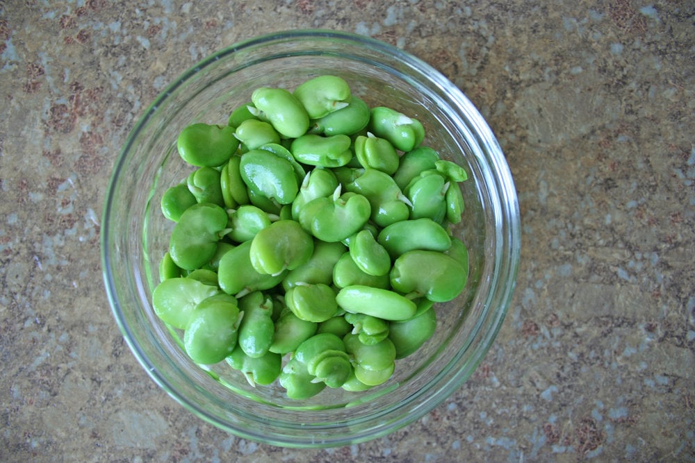 Shelling Fava Beans