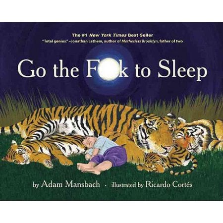 Go the F*ck to Sleep Book