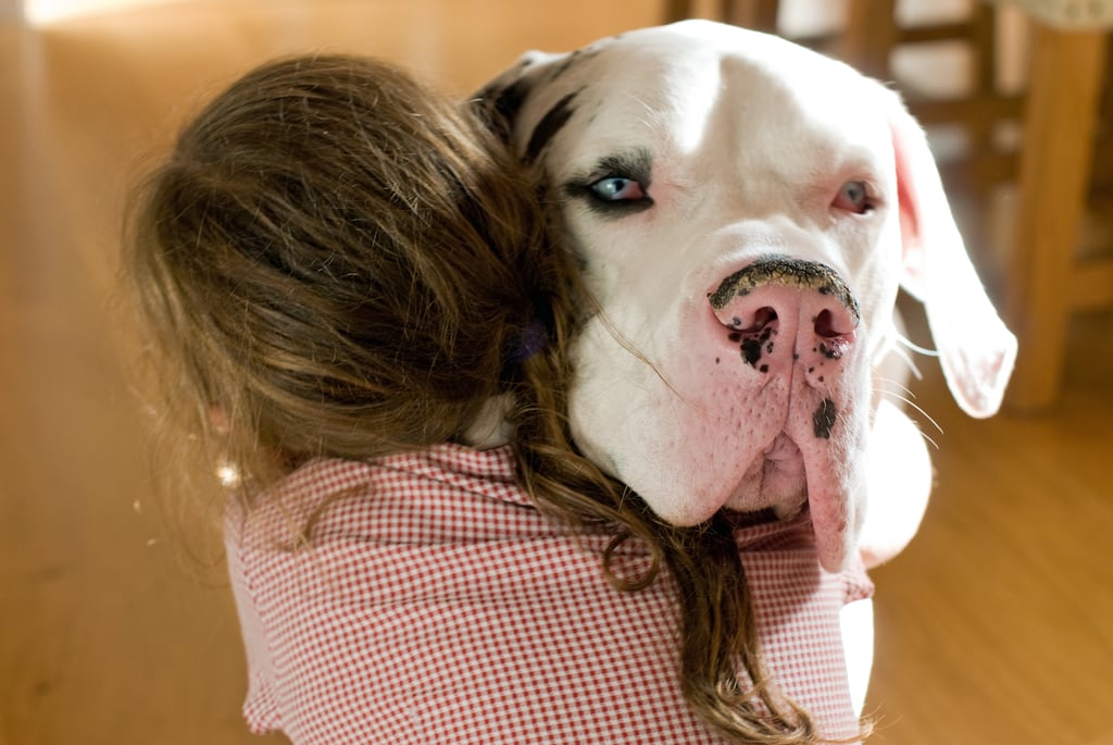 Cute Photos of Kids and Dogs