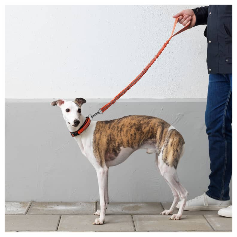 Ikea outlet dog leash