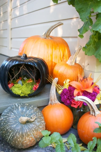 Black Pumpkin With Bright Colors Scene