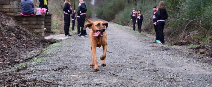 Dog Runs Half Marathon in Alabama