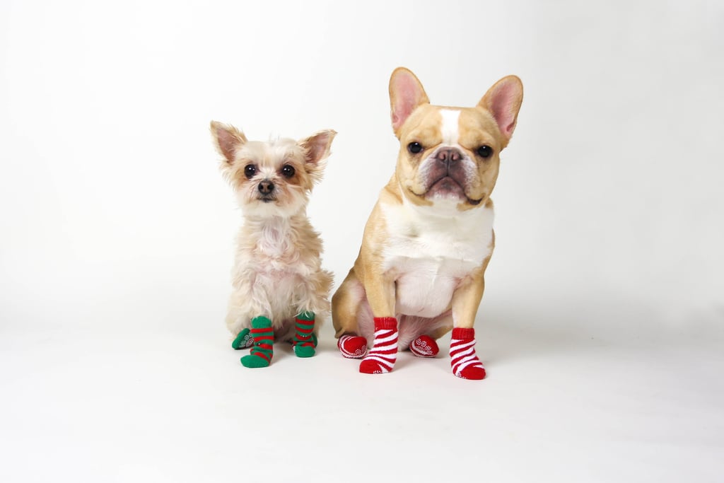 PetSmart Dog Socks ($5)
Chloe: “Gotta keep our paws warm.”
