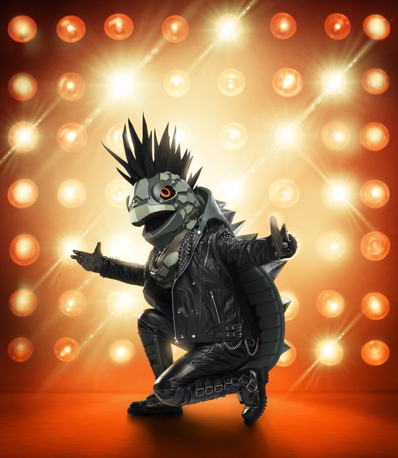 Who Is the Turtle on The Masked Singer Season 3?