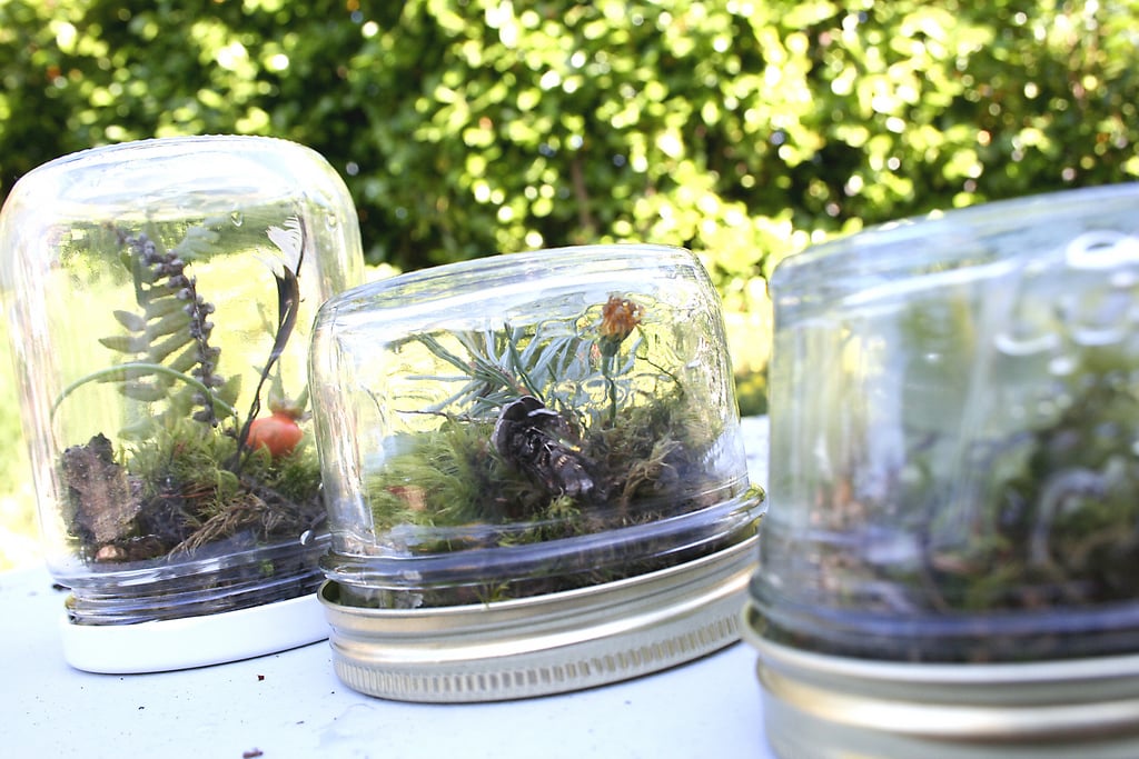 Terrariums