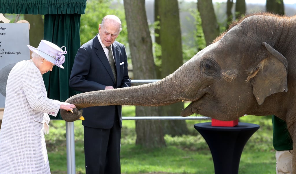 In April, Queen Elizabeth II and Prince Philip fed an elephant when they visited the ZSL Whipsnade Zoo in Dunstable, UK.