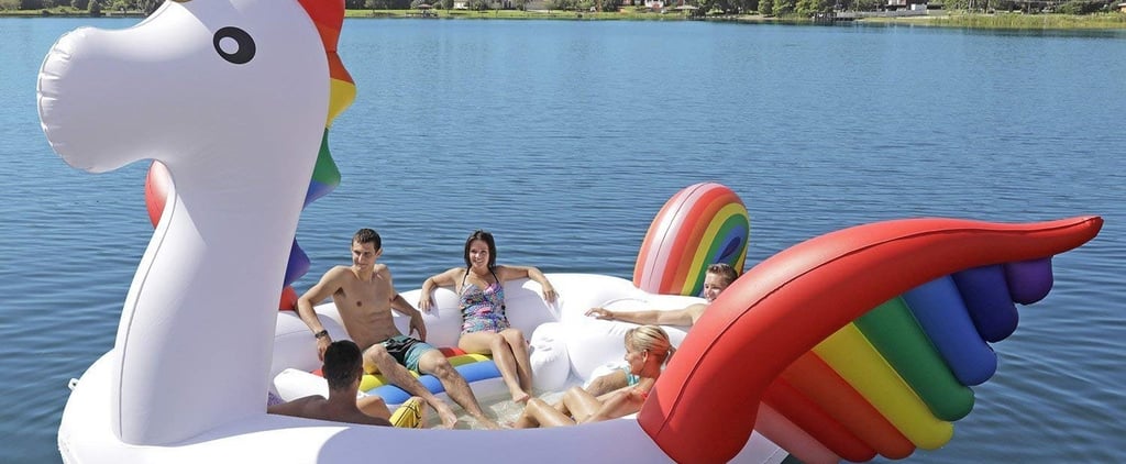 Unicorn Pool Float Halloween Costume 2018