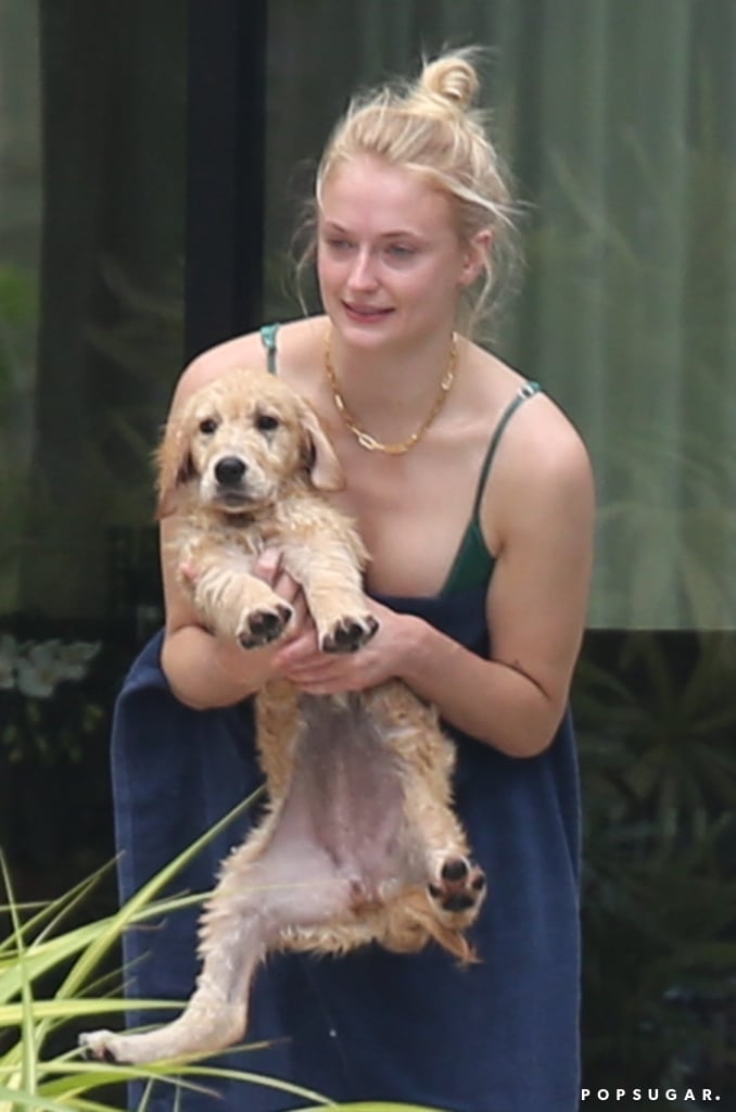 Sophie Turner Priyanka Chopra in Miami Pictures August 2019