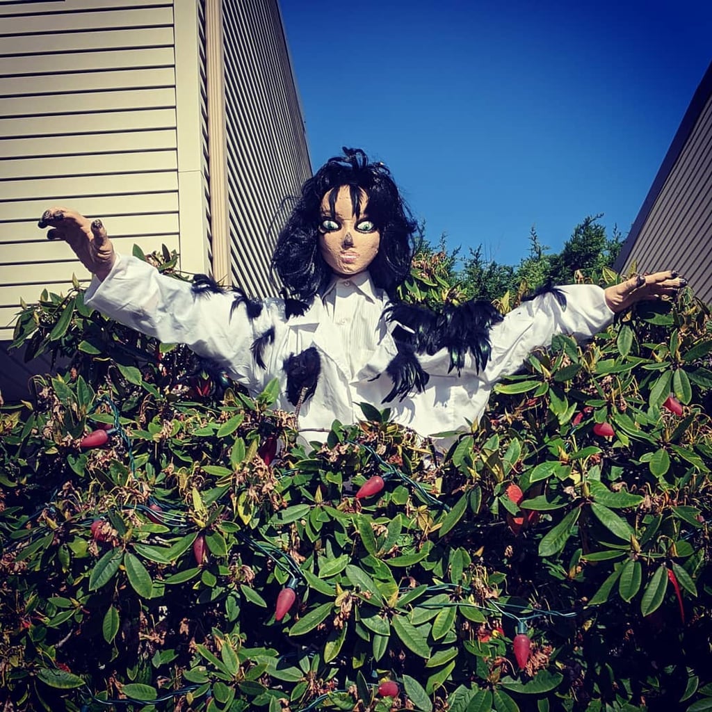 This Guy's Schitt's Creek Halloween Decorations Are Amazing