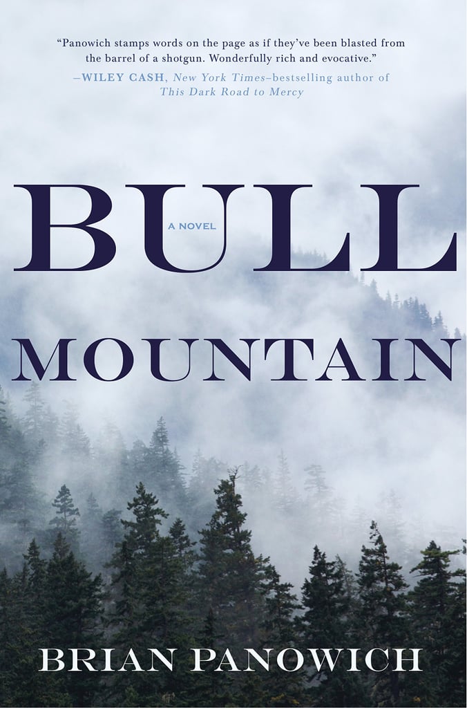 Bull Mountain Books That Came Out in 2015 POPSUGAR Entertainment