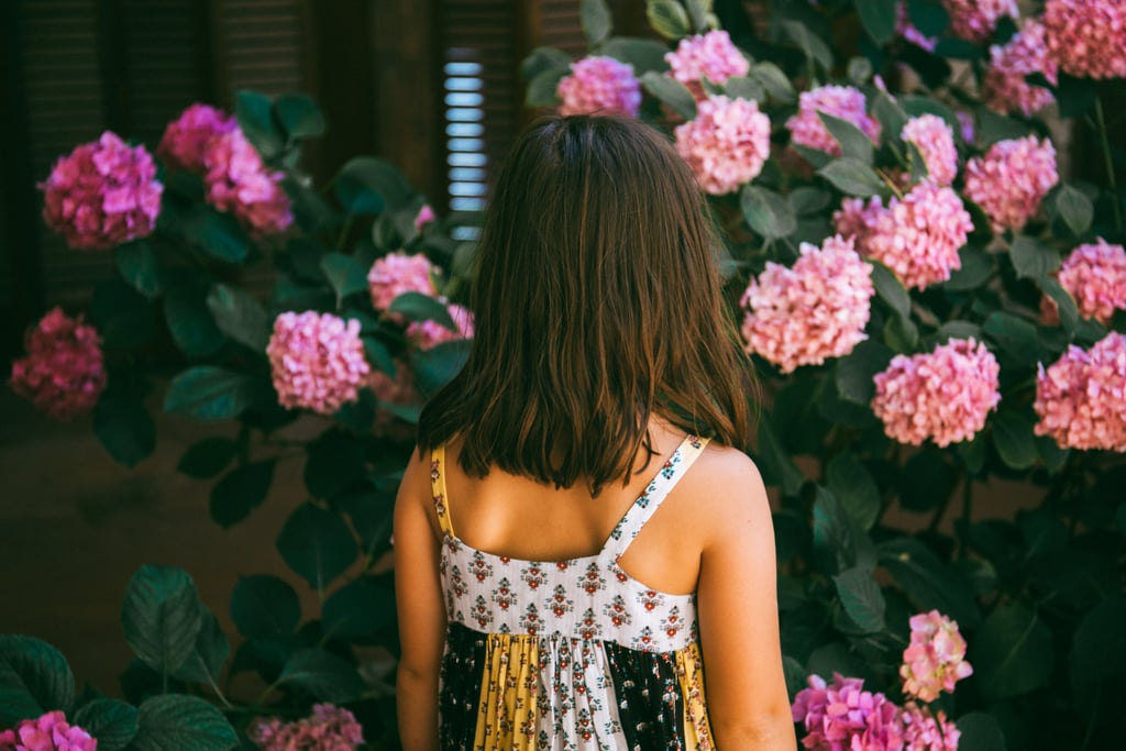 Take pictures of the prettiest flowers in the neighborhood.