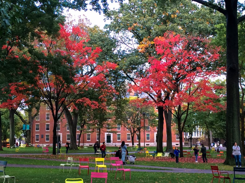 Tour the oldest college in the United States.