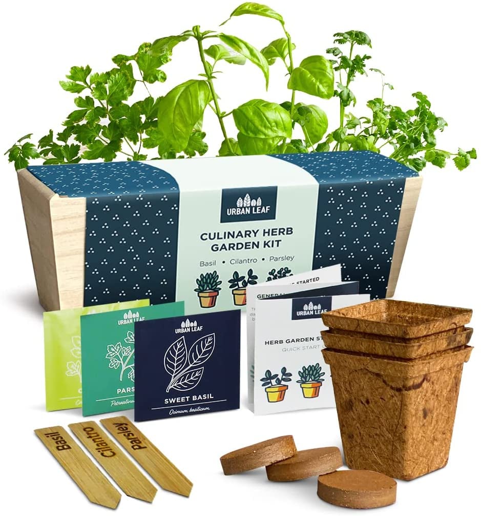 An Indoor Garden: Urban Leaf Herb Garden Starter Kit