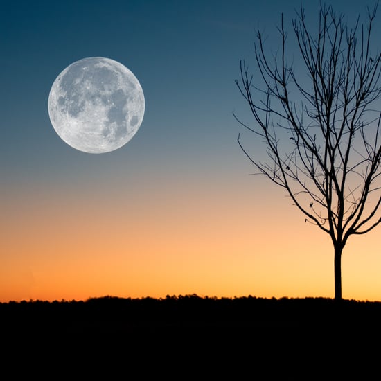 When to Watch Every Full Moon in 2021