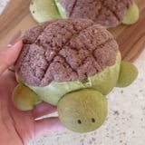 How to Make Japanese Melonpan Turtle Bread | TikTok Recipe