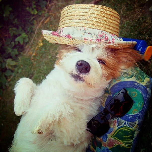 Nap Time